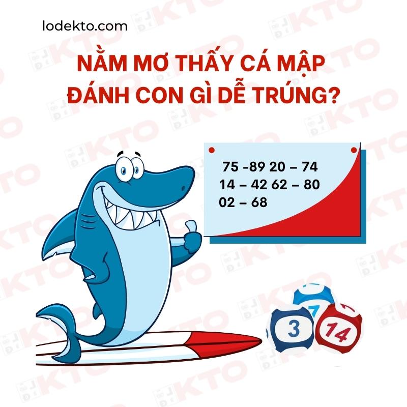 Cá mập và các con số nên đánh khi nằm mơ thấy cá mập từ KTO
